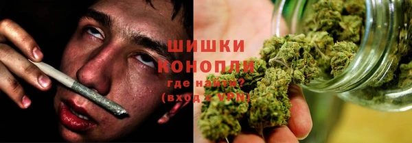 гидра Горняк