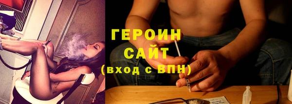 гидра Горняк