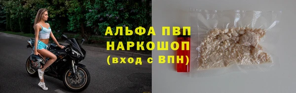 гидра Горняк