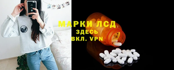 гидра Горняк
