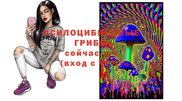 гидра Горняк