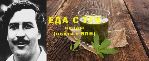 гидра Горняк