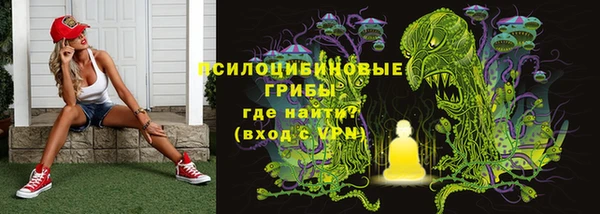 гидра Горняк