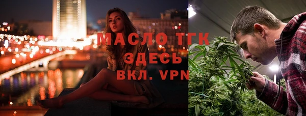 гидра Горняк