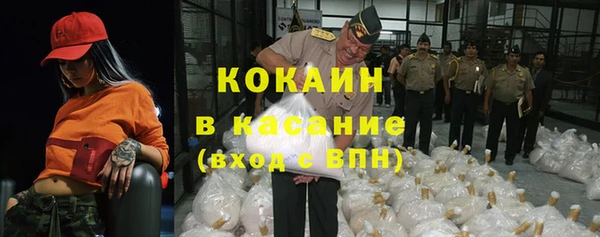 гидра Горняк