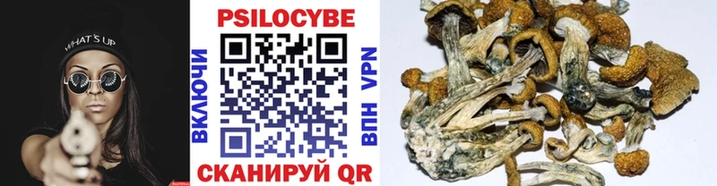 Купить где  Нижняя Тура  Псилоцибиновые грибы Psilocybine cubensis 